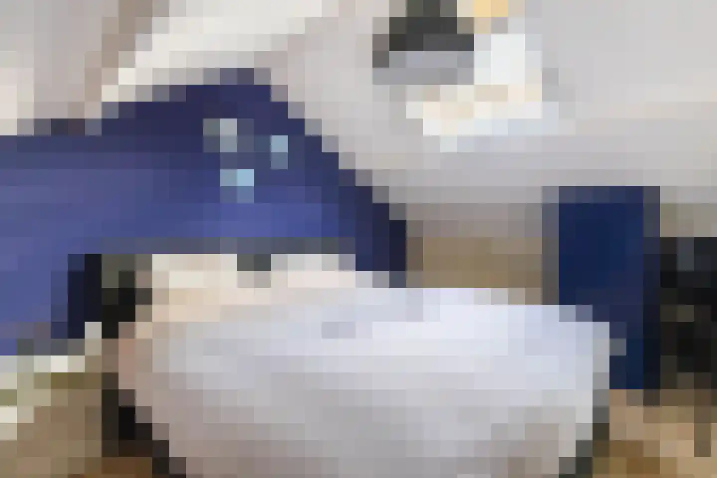 Bommegaerde 114 Beetsterzwaag thumbnail 33