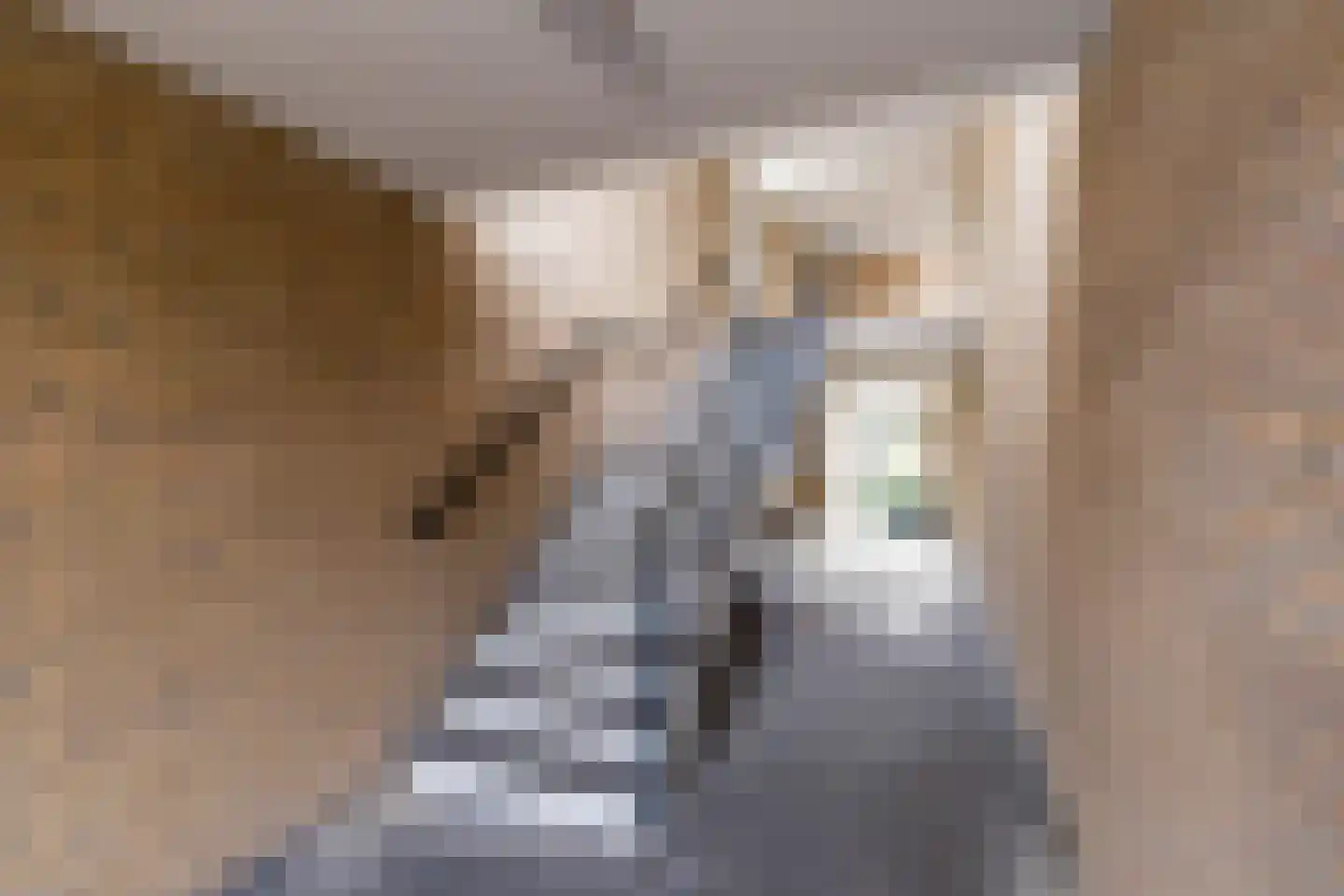 Bommegaerde 114 Beetsterzwaag thumbnail 6