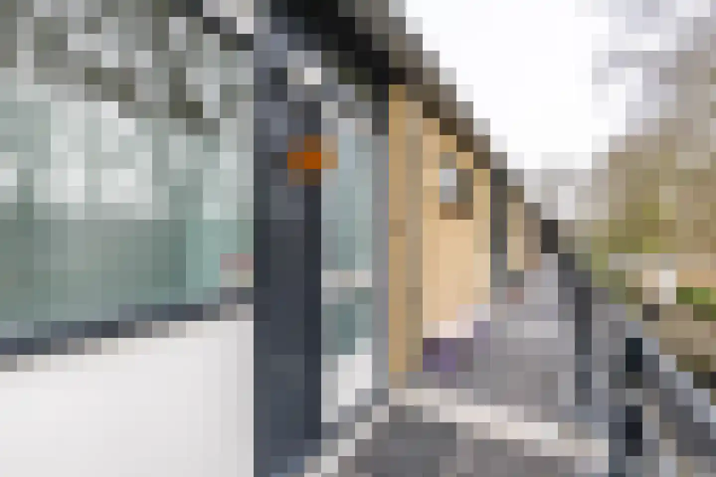 Bommegaerde 114 Beetsterzwaag thumbnail 7