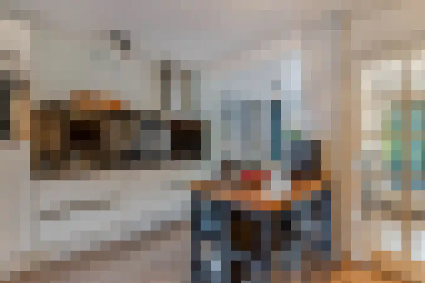Bommegaerde 134 Beetsterzwaag thumbnail 11