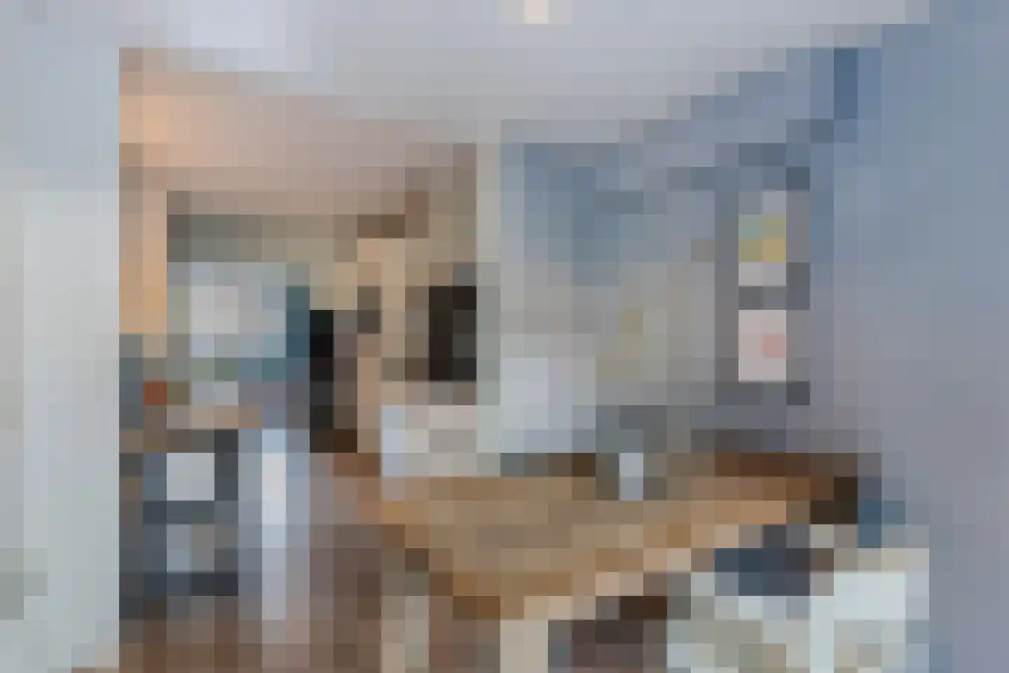 Bommegaerde 134 Beetsterzwaag thumbnail 14