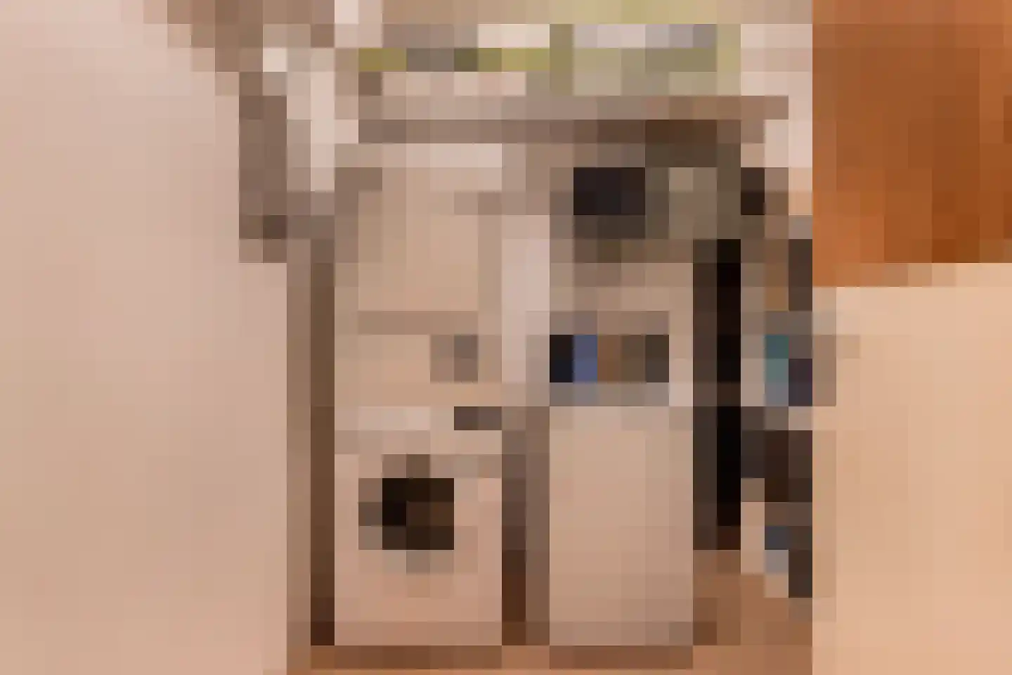 Bommegaerde 134 Beetsterzwaag thumbnail 20