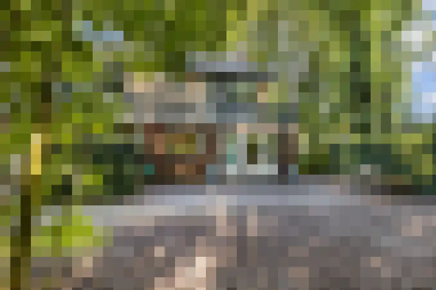 Bommegaerde 134 Beetsterzwaag thumbnail 28