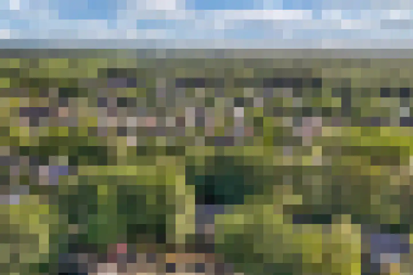 Bommegaerde 134 Beetsterzwaag thumbnail 32