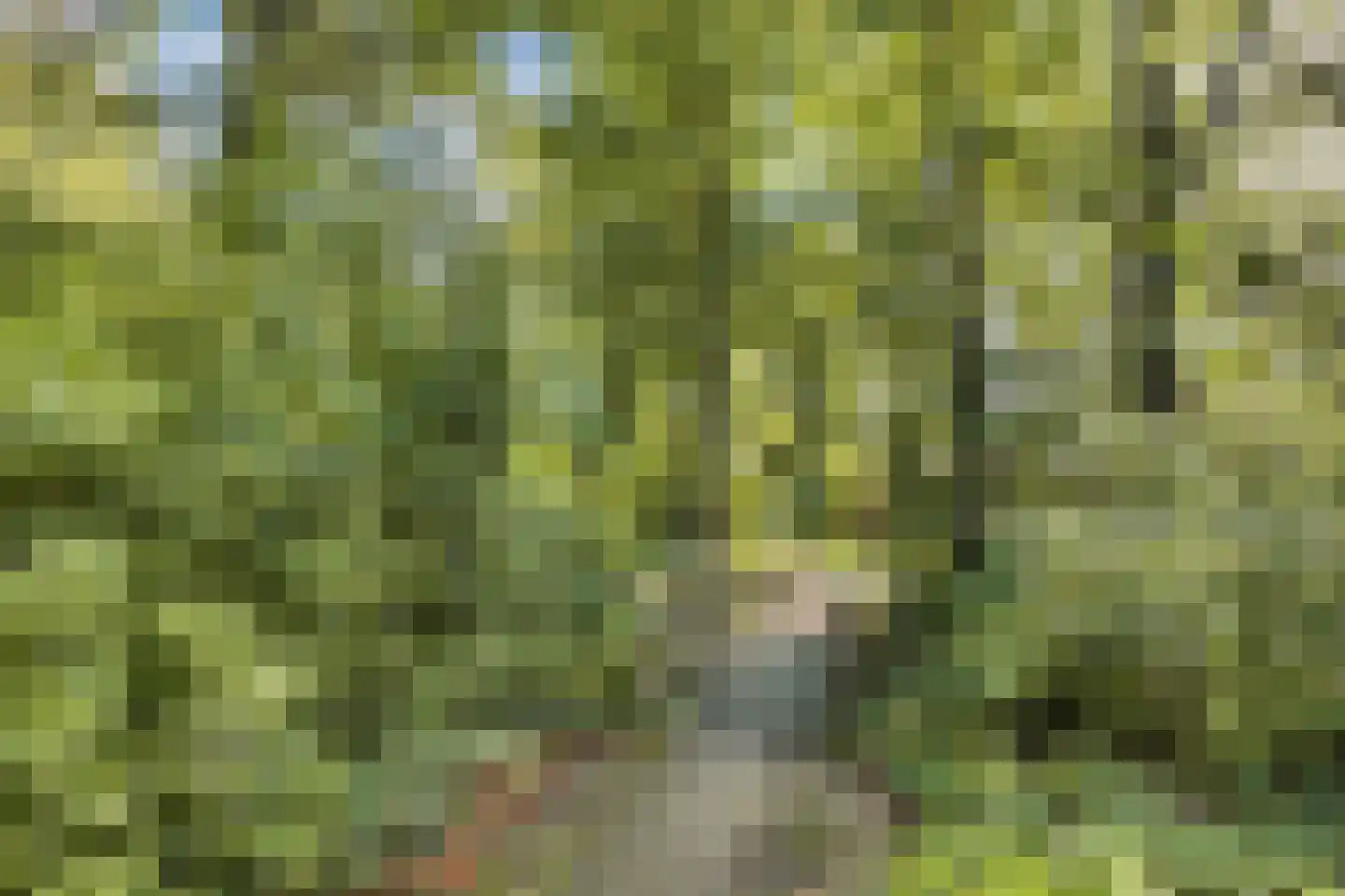 Bommegaerde 134 Beetsterzwaag thumbnail 33