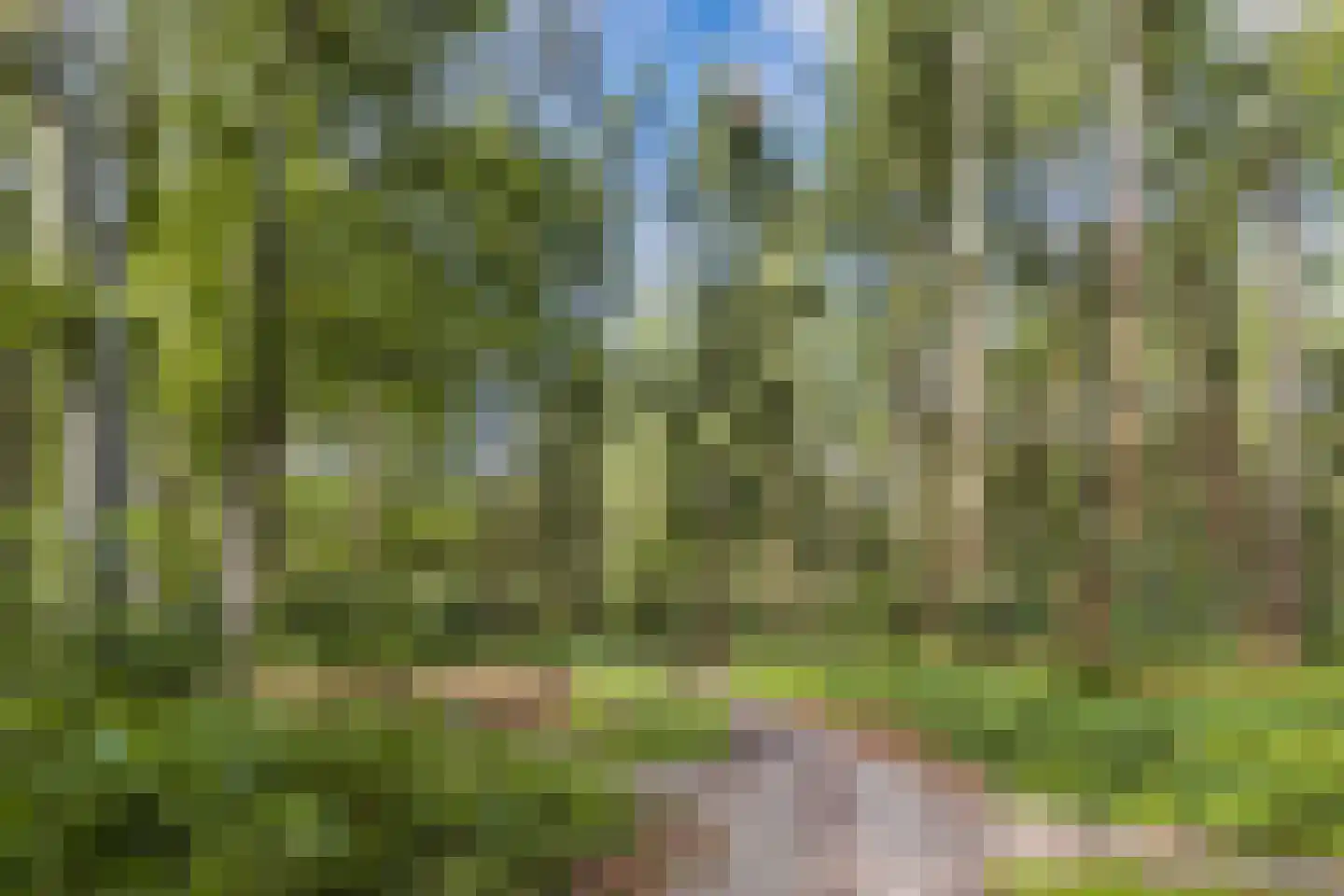 Bommegaerde 134 Beetsterzwaag thumbnail 34