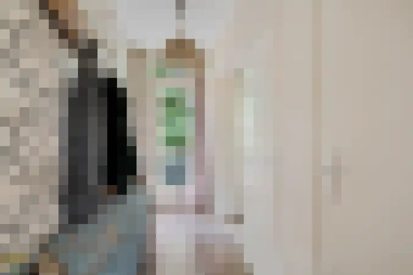 Bommegaerde 146 Beetsterzwaag thumbnail 12