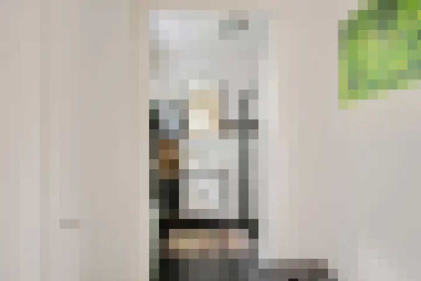 Bommegaerde 146 Beetsterzwaag thumbnail 13