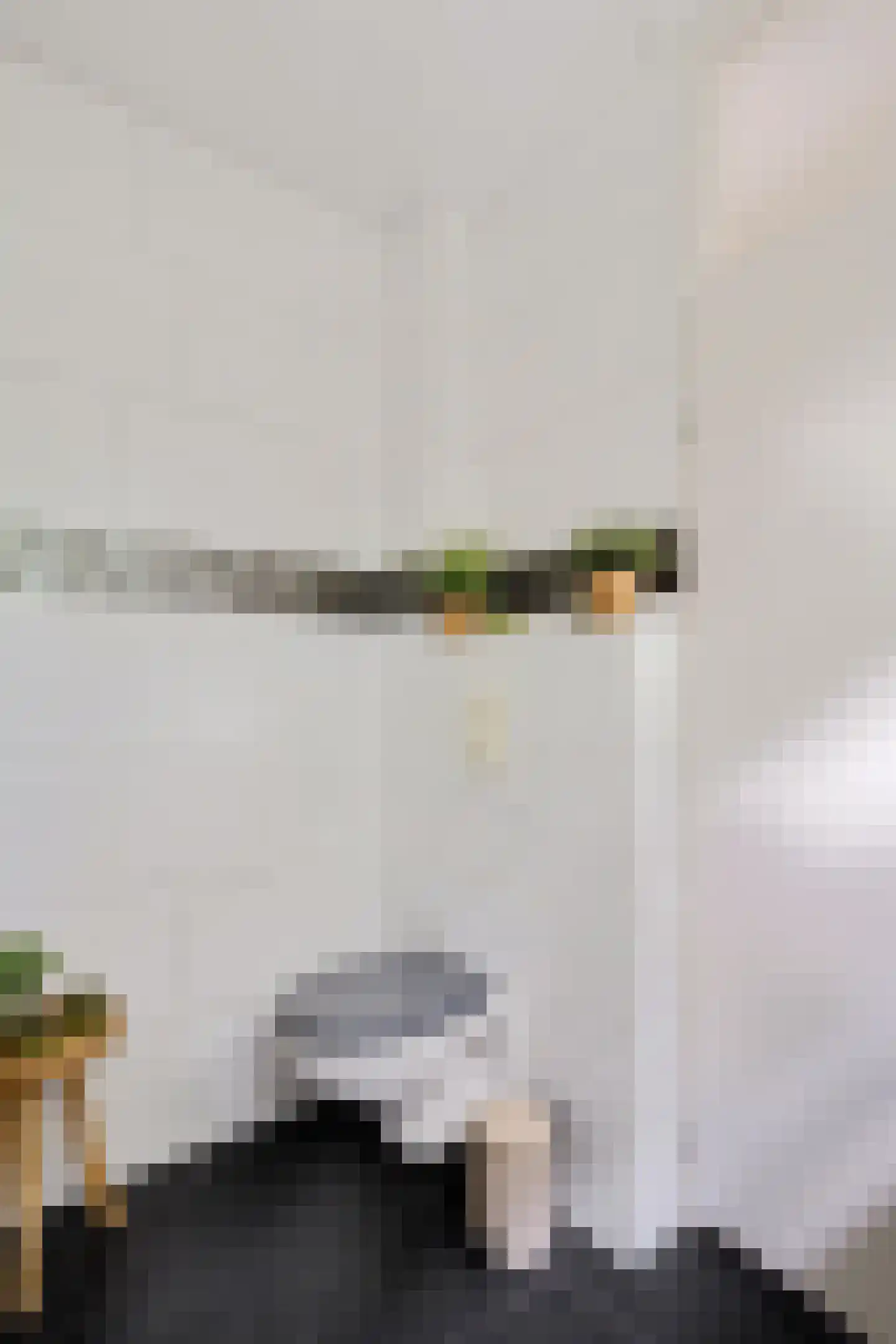 Bommegaerde 146 Beetsterzwaag thumbnail 15