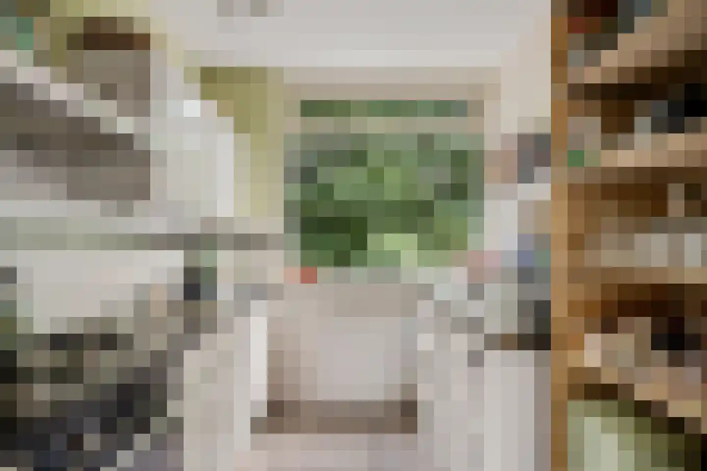 Bommegaerde 146 Beetsterzwaag thumbnail 19
