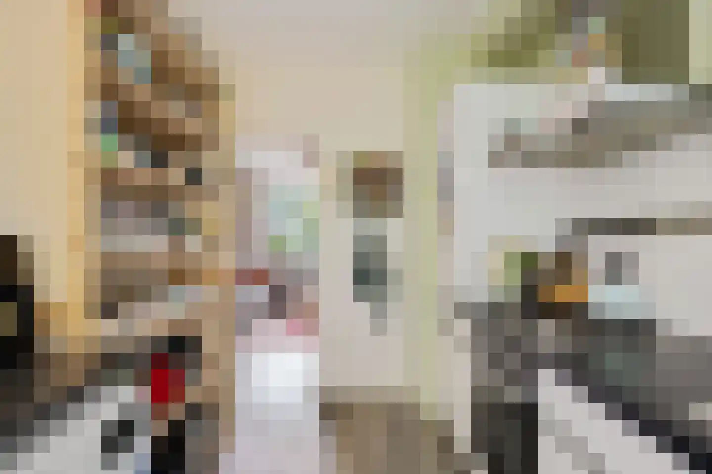 Bommegaerde 146 Beetsterzwaag thumbnail 20