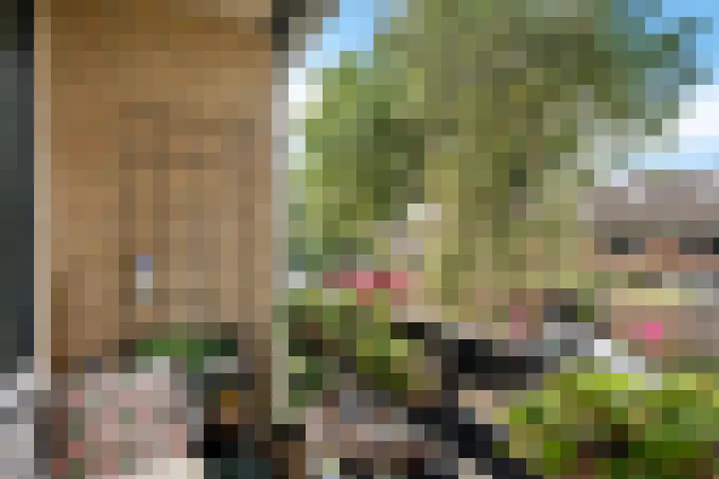 Bommegaerde 146 Beetsterzwaag thumbnail 23