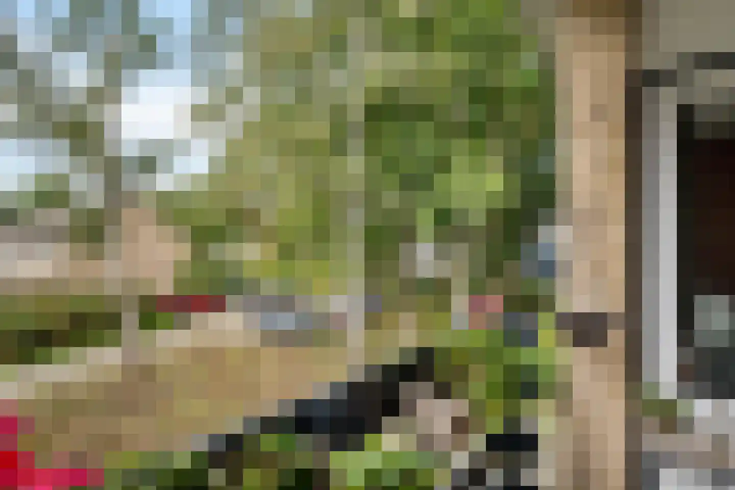 Bommegaerde 146 Beetsterzwaag thumbnail 24