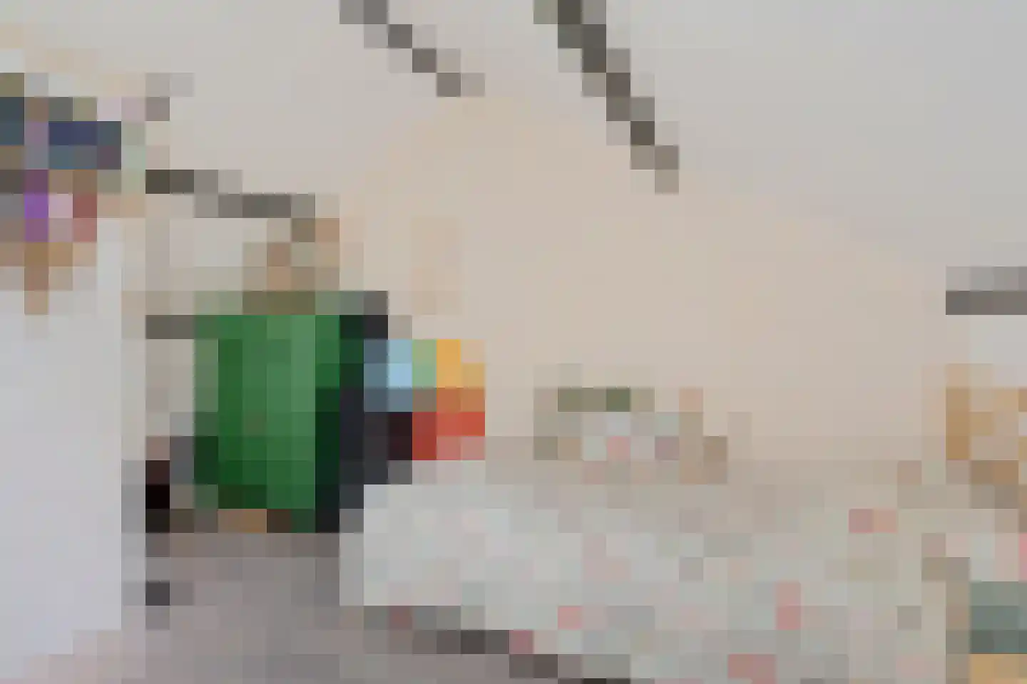 Bommegaerde 146 Beetsterzwaag thumbnail 26