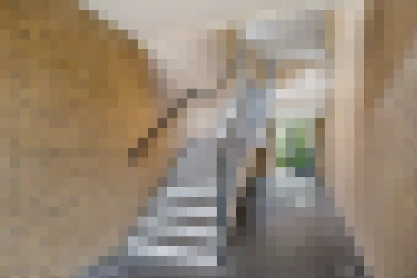 Bommegaerde 146 Beetsterzwaag thumbnail 8