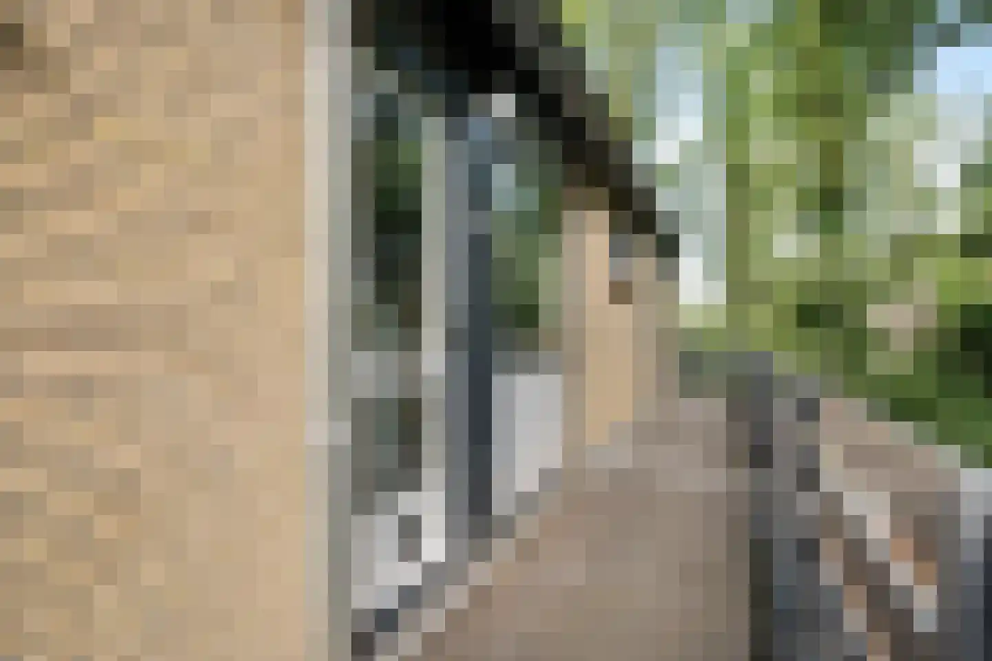 Bommegaerde 146 Beetsterzwaag thumbnail 9