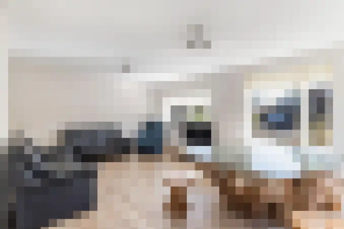 Bommegaerde 21 Beetsterzwaag thumbnail 12