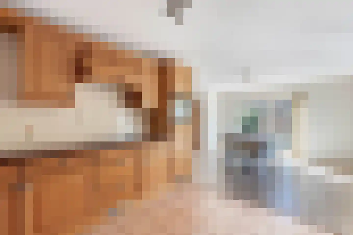 Bommegaerde 21 Beetsterzwaag thumbnail 16