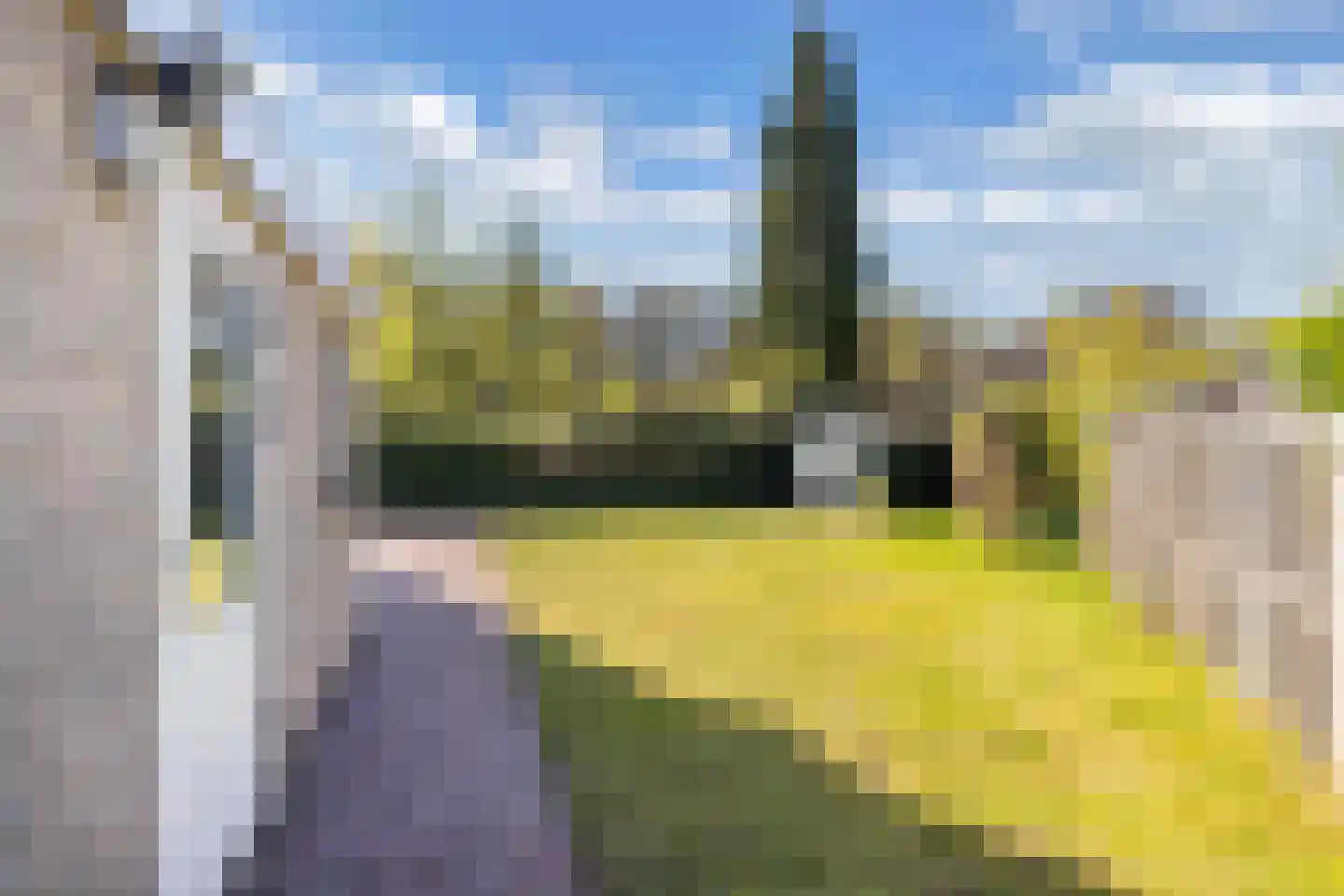 Bommegaerde 21 Beetsterzwaag thumbnail 20