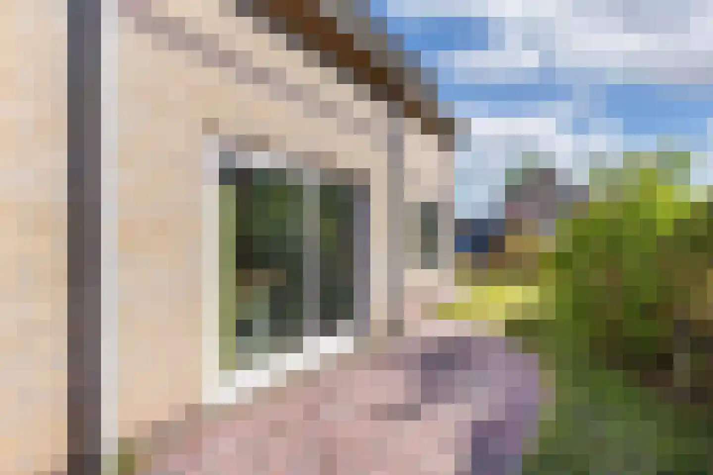 Bommegaerde 21 Beetsterzwaag thumbnail 22