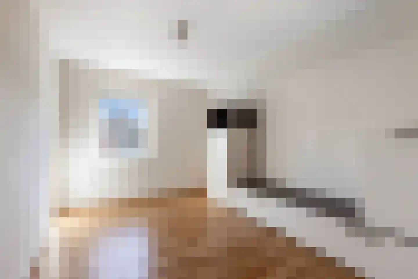 Bommegaerde 21 Beetsterzwaag thumbnail 30