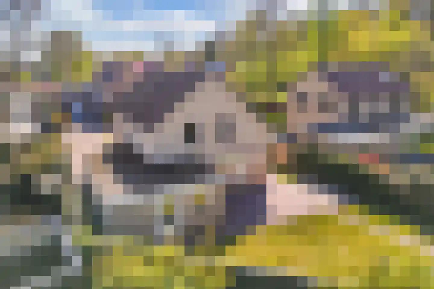 Bommegaerde 21 Beetsterzwaag thumbnail 37