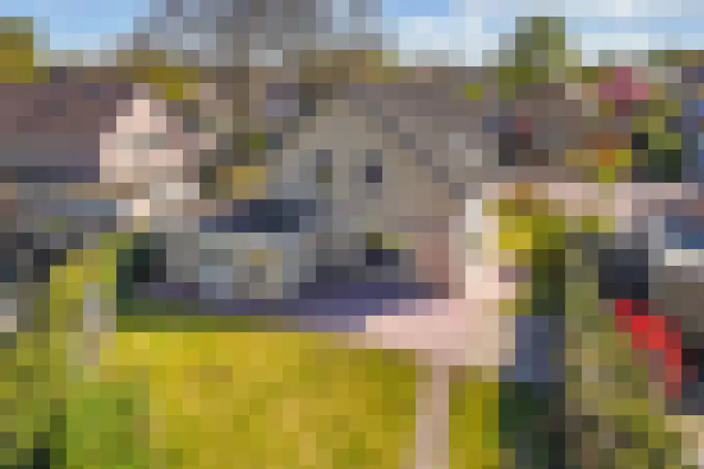 Bommegaerde 21 Beetsterzwaag thumbnail 39
