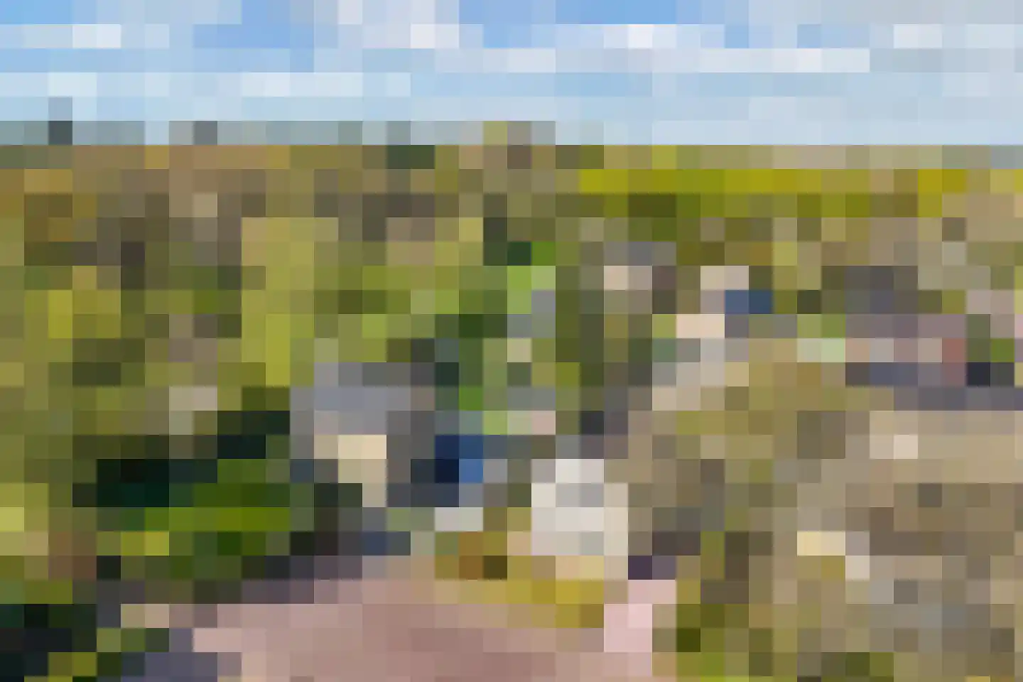 Bommegaerde 21 Beetsterzwaag thumbnail 40