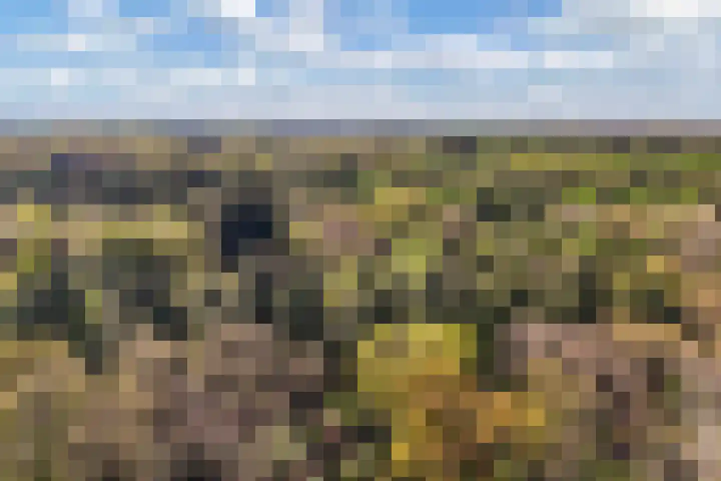 Bommegaerde 21 Beetsterzwaag thumbnail 42