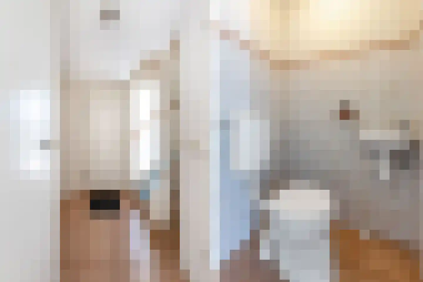 Bommegaerde 21 Beetsterzwaag thumbnail 7