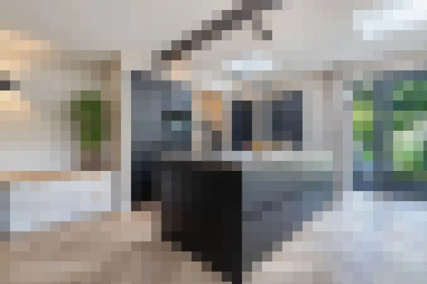 Bommegaerde 75 Beetsterzwaag thumbnail 18