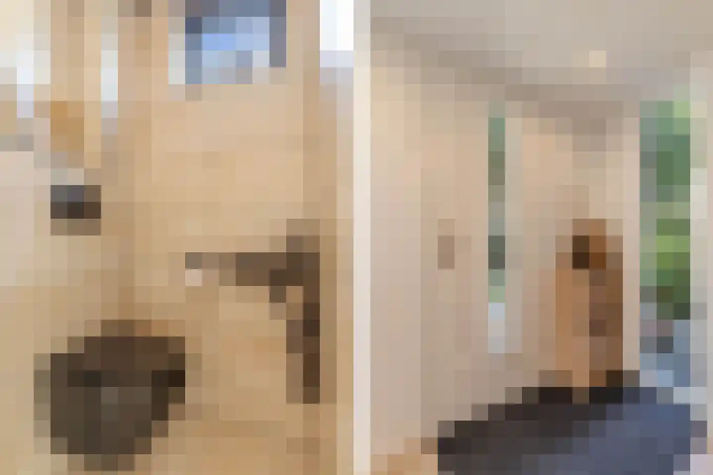 Bommegaerde 75 Beetsterzwaag thumbnail 24