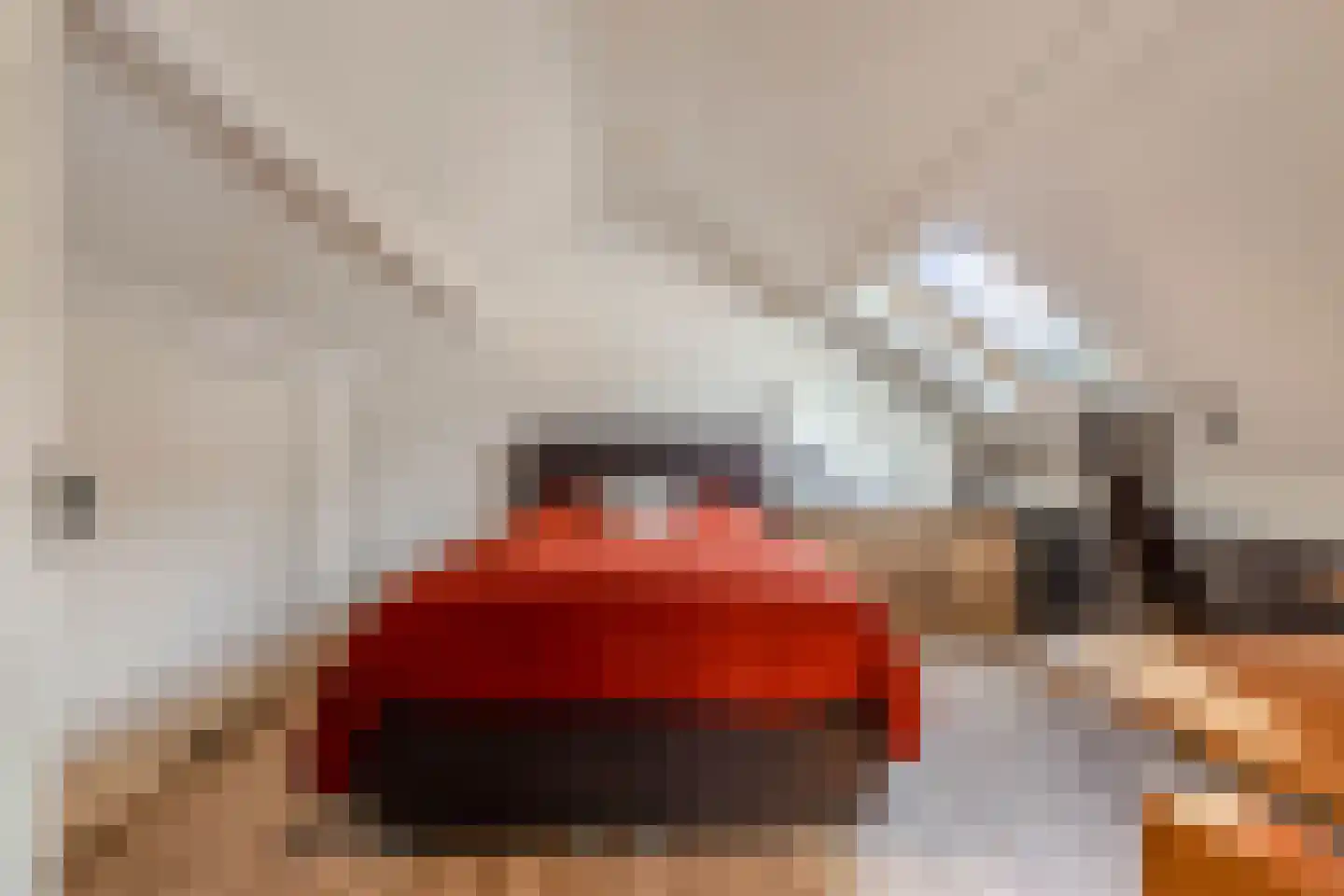 Bommegaerde 75 Beetsterzwaag thumbnail 36