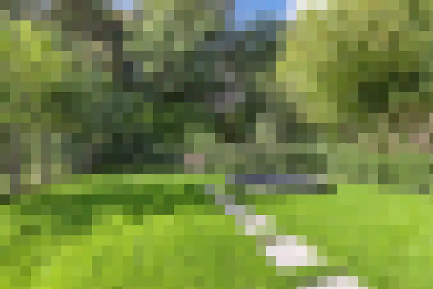 Bommegaerde 75 Beetsterzwaag thumbnail 4
