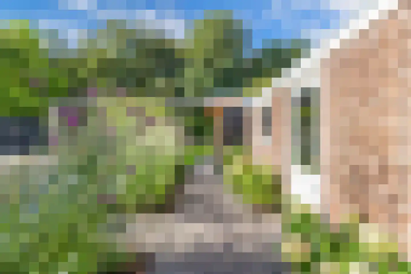 Bommegaerde 75 Beetsterzwaag thumbnail 42