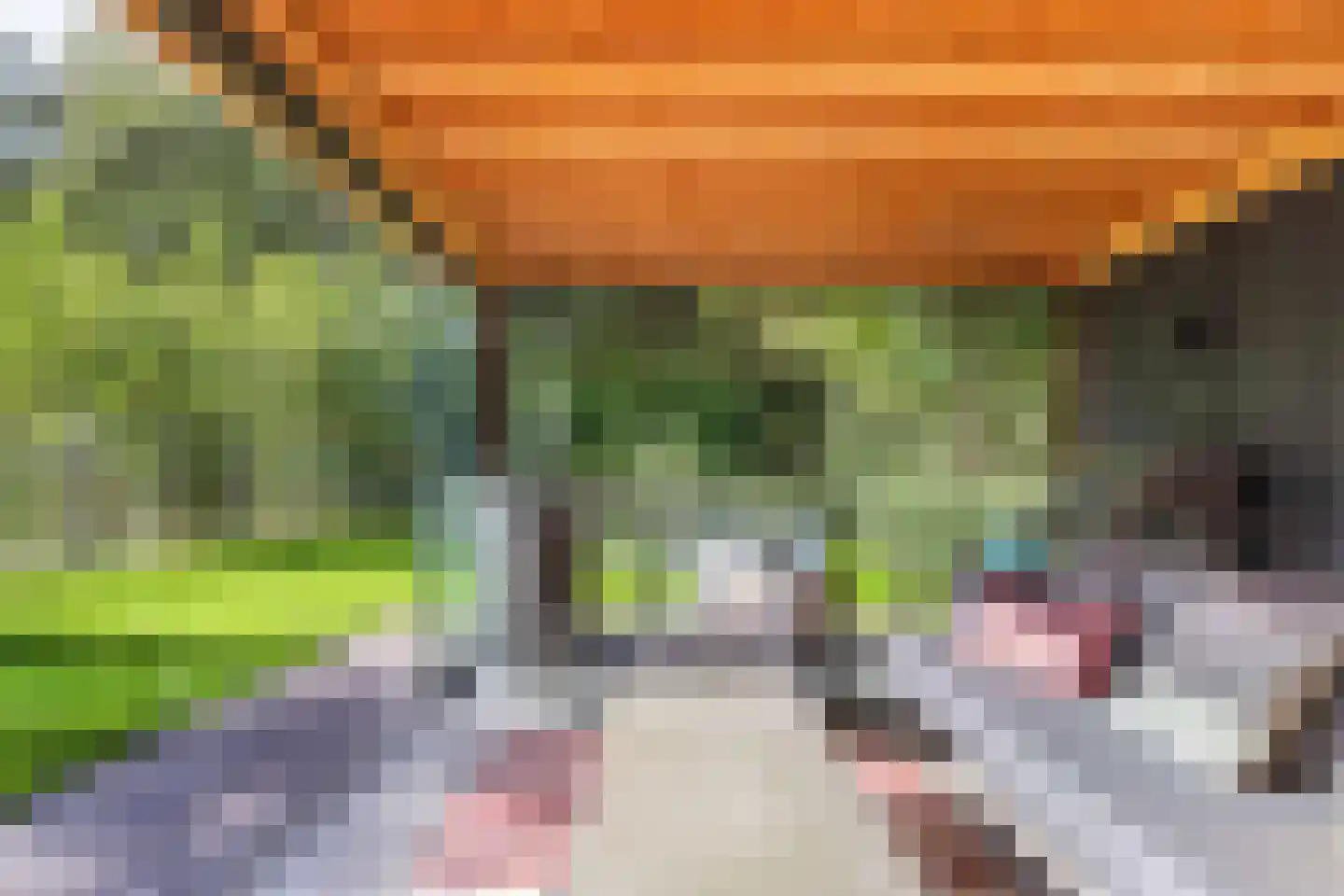Bommegaerde 75 Beetsterzwaag thumbnail 49