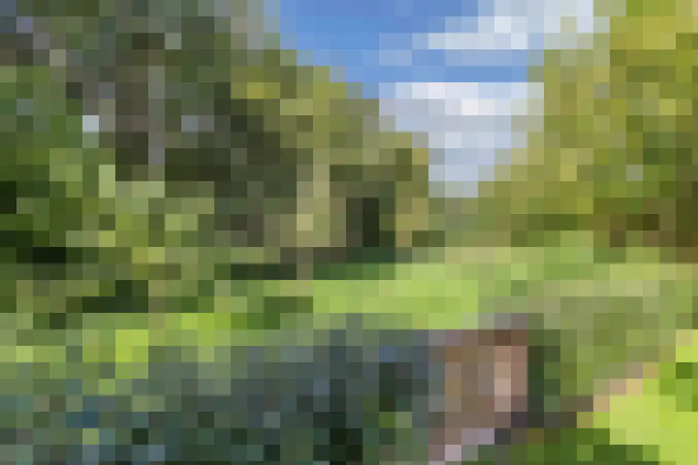 Bommegaerde 75 Beetsterzwaag thumbnail 52