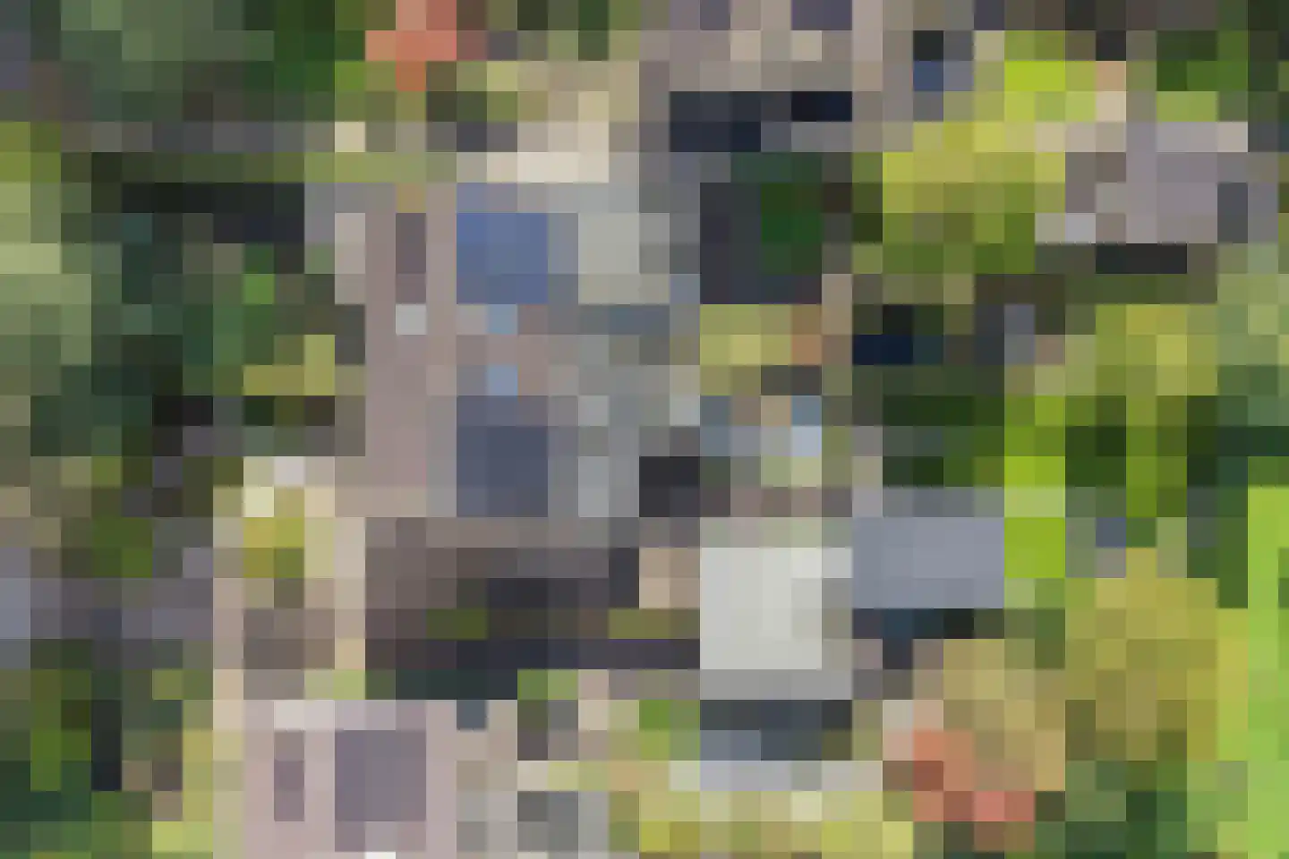 Bommegaerde 75 Beetsterzwaag thumbnail 53