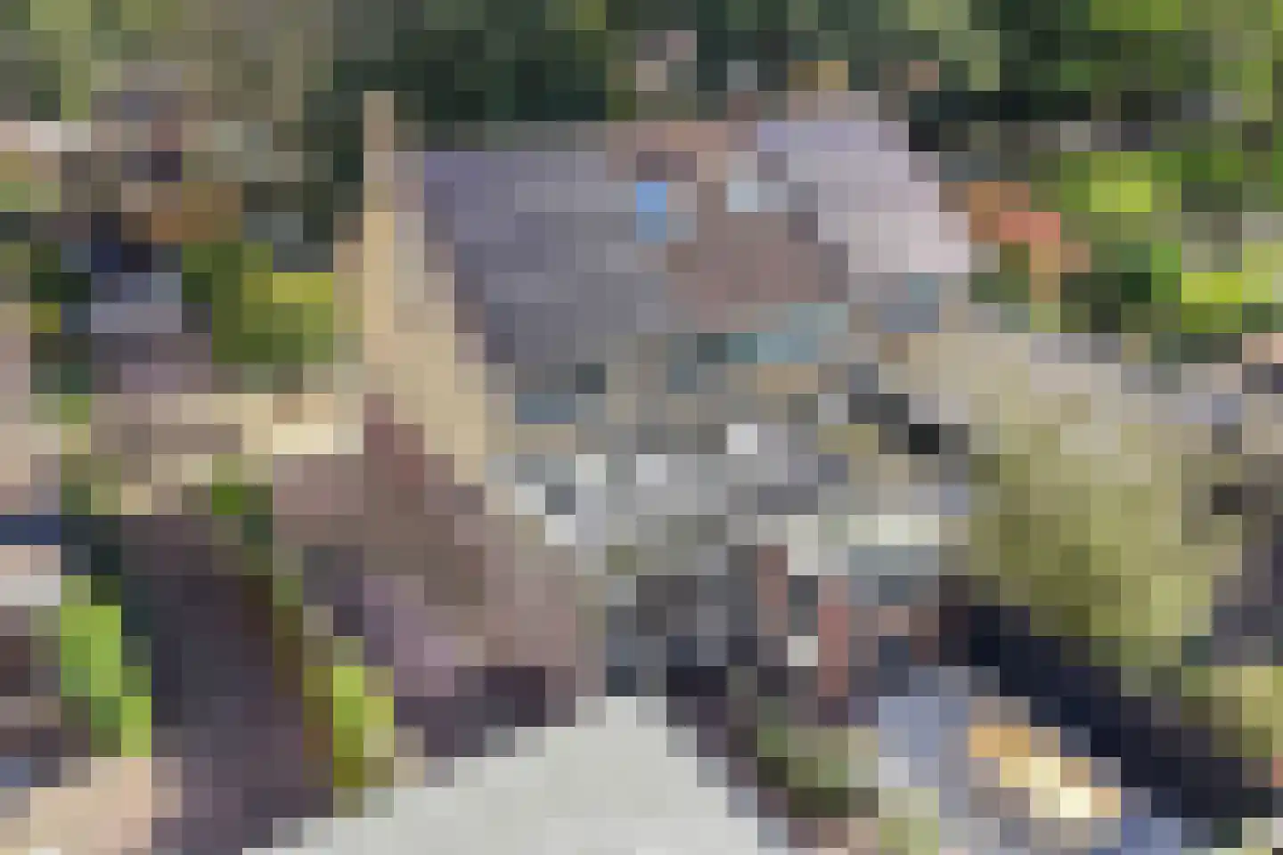 Bommegaerde 75 Beetsterzwaag thumbnail 54