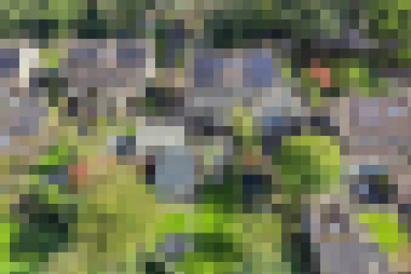 Bommegaerde 75 Beetsterzwaag thumbnail 55