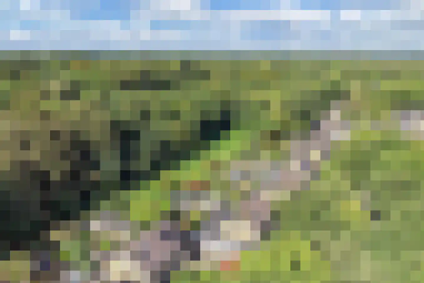 Bommegaerde 75 Beetsterzwaag thumbnail 62