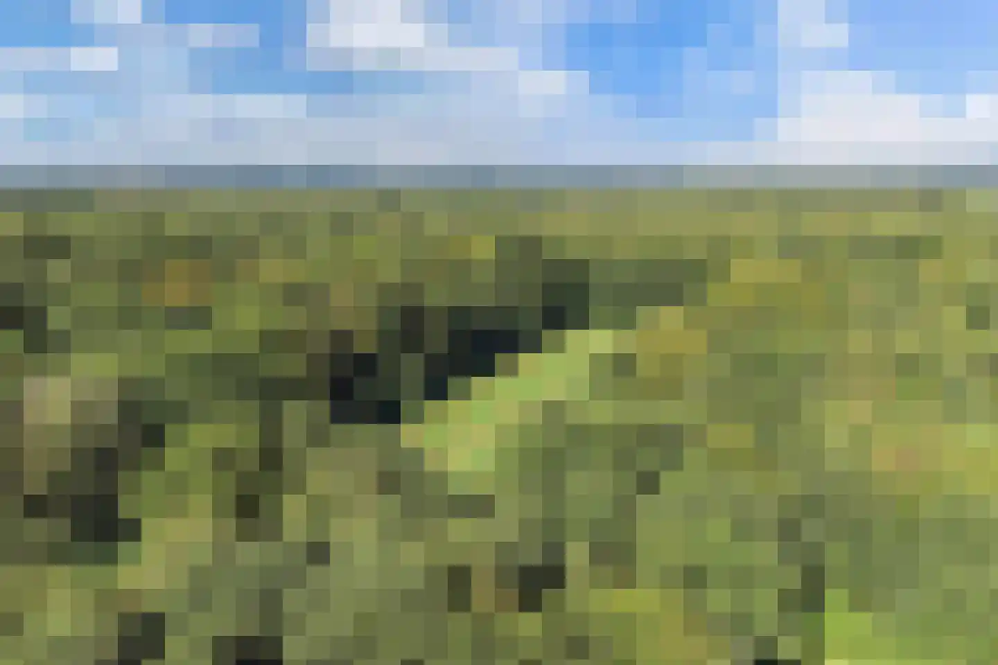 Bommegaerde 75 Beetsterzwaag thumbnail 63