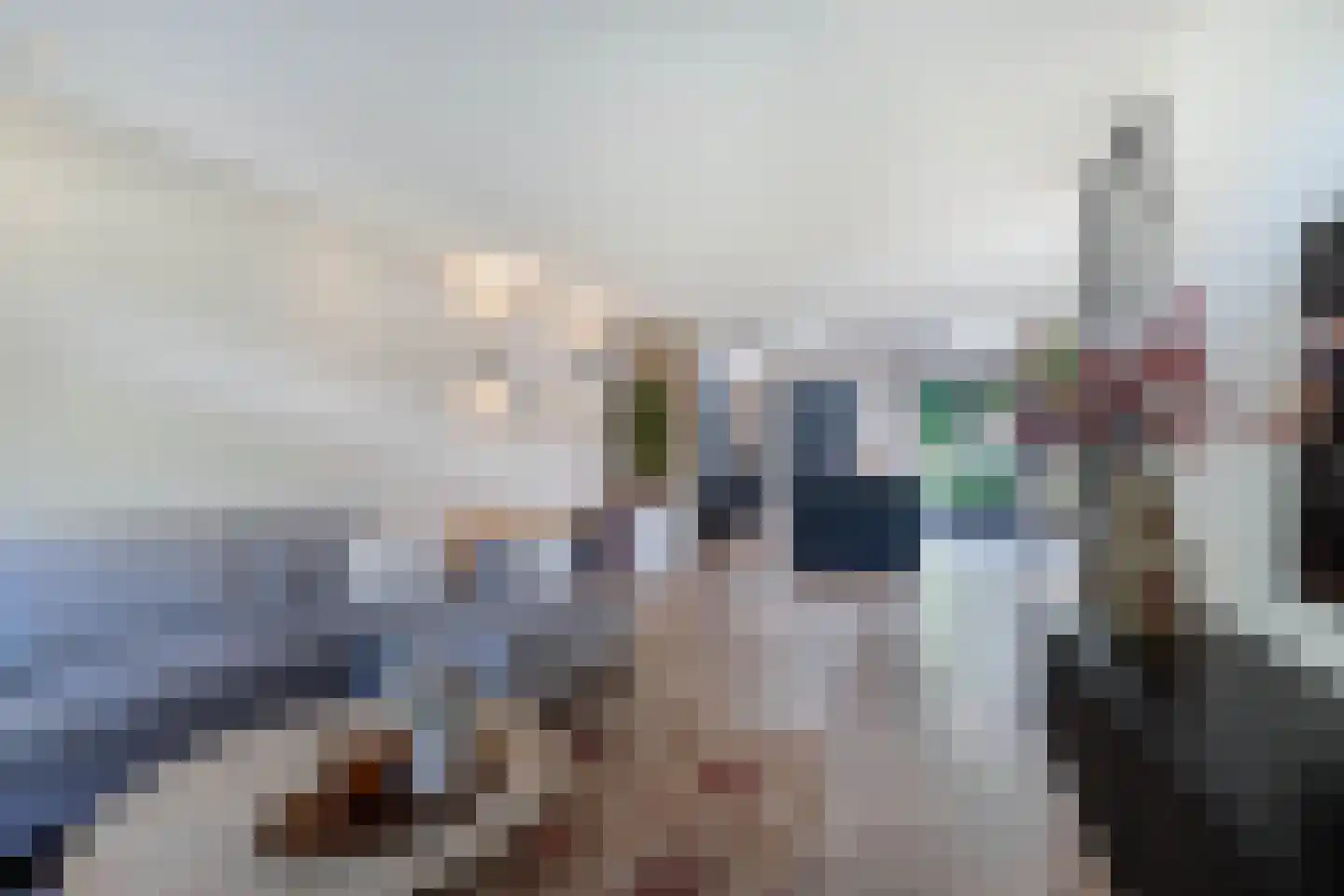 Bommegaerde 75 Beetsterzwaag thumbnail 9