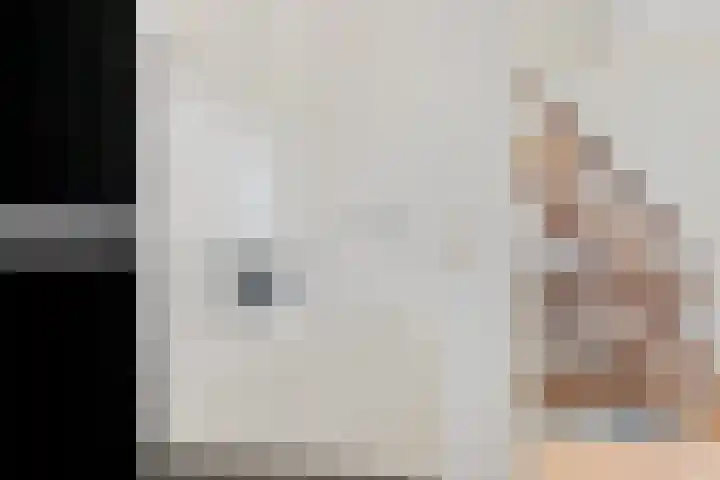 Bommegaerde 80 Beetsterzwaag thumbnail 25