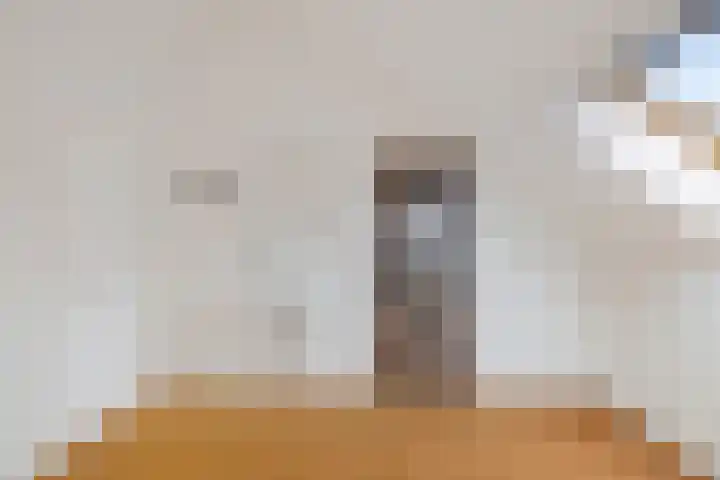 Bommegaerde 80 Beetsterzwaag thumbnail 30