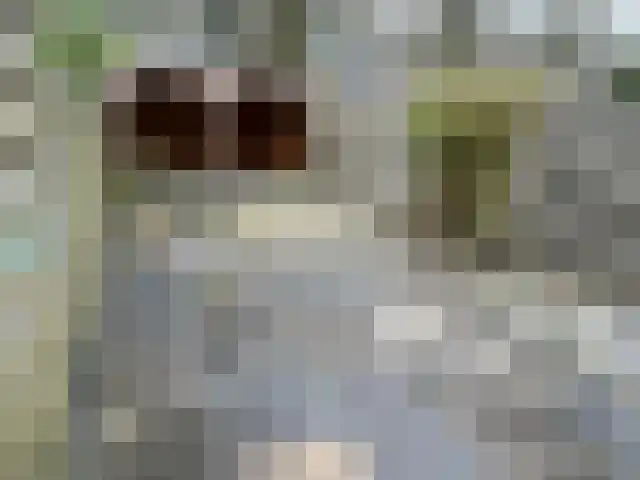 Bommegaerde 80 Beetsterzwaag thumbnail 34