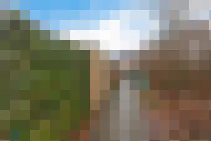 Bommegaerde 80 Beetsterzwaag thumbnail 39