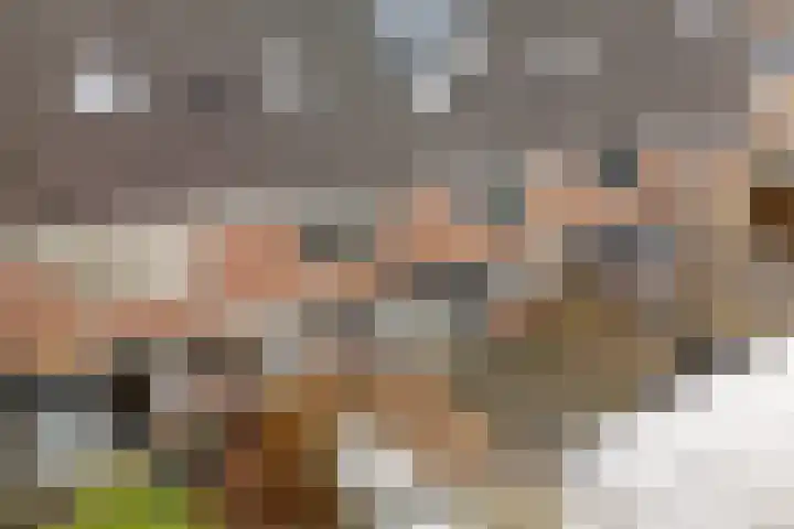 Bommegaerde 80 Beetsterzwaag thumbnail 40