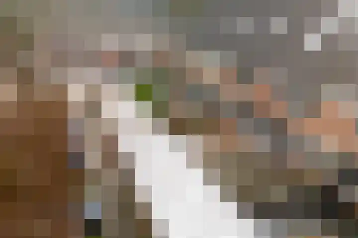 Bommegaerde 80 Beetsterzwaag thumbnail 43