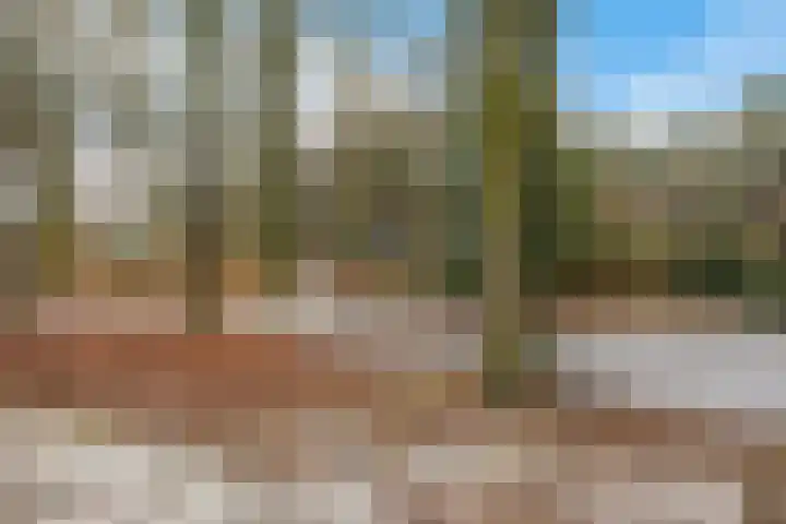 Bommegaerde 80 Beetsterzwaag thumbnail 46